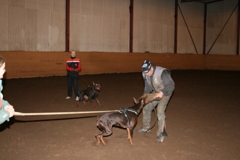 Training in Estonia 12/2006