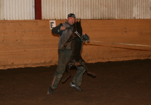 Training in Estonia 12/2006