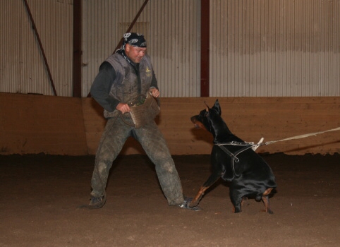 Training in Estonia 12/2006