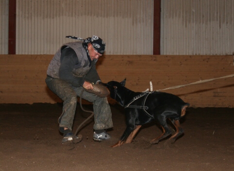 Training in Estonia 12/2006