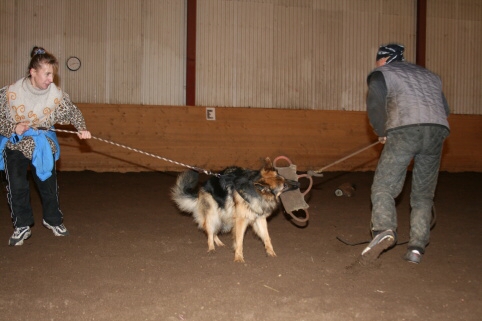 Training in Estonia 12/2006