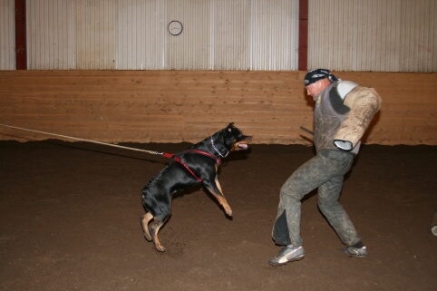 Training in Estonia 12/2006