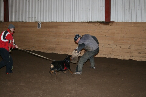 Training in Estonia 12/2006