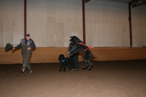 Training in Estonia 12/2006