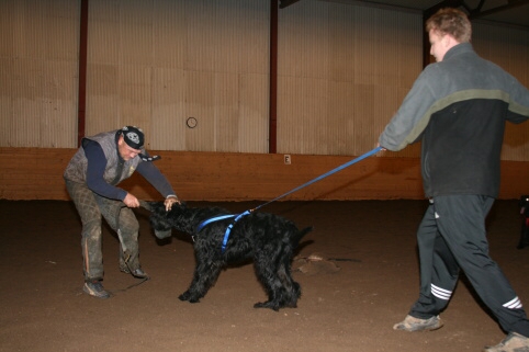 Training in Estonia 12/2006