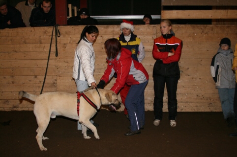 Training in Estonia 12/2006