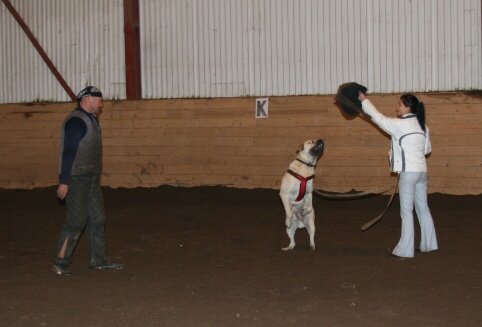 Training in Estonia 12/2006