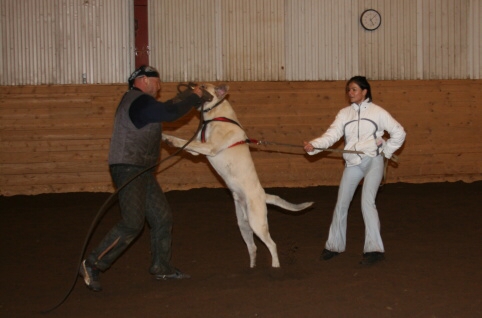 Training in Estonia 12/2006