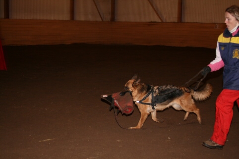 Training in Estonia 12/2006