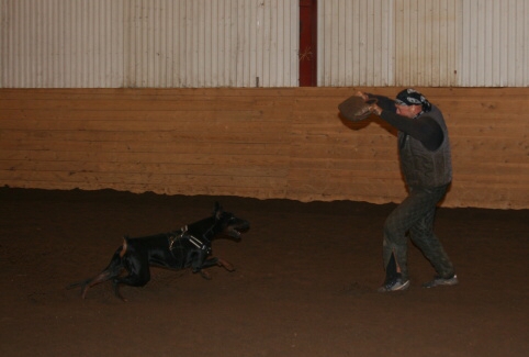 Training in Estonia 12/2006