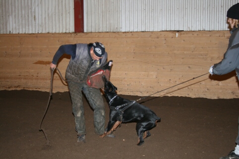 Training in Estonia 12/2006