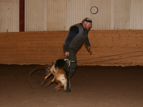 Training in Estonia 12/2006