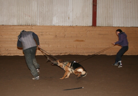 Training in Estonia 12/2006