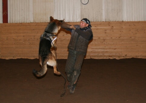 Training in Estonia 12/2006