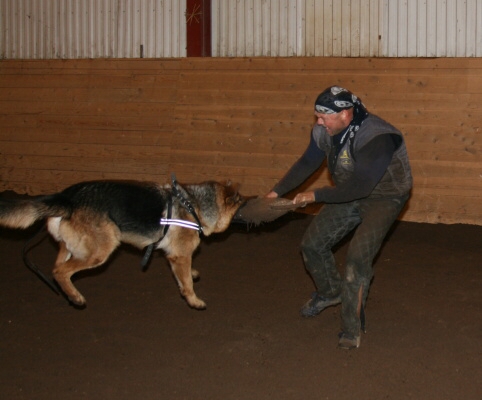 Training in Estonia 12/2006