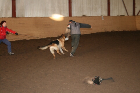 Training in Estonia 12/2006