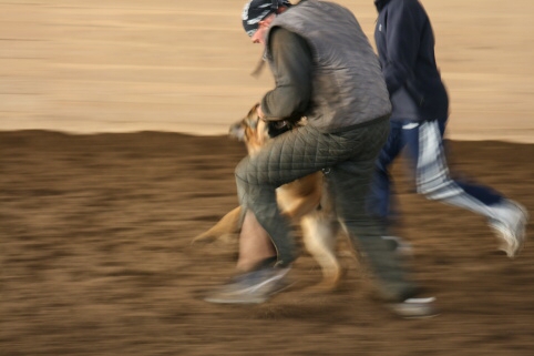 Training in Estonia 12/2006