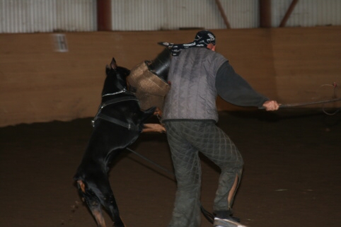 Training in Estonia 12/2006