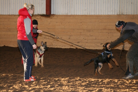 Training in Estonia 12/2006