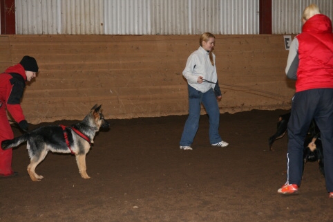 Training in Estonia 12/2006