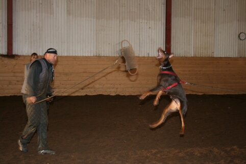 Training in Estonia 12/2006