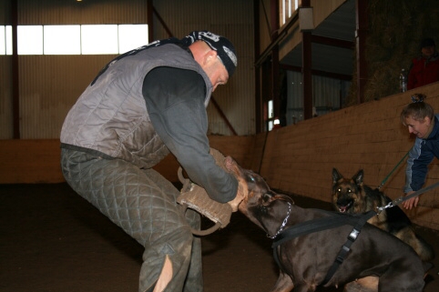 Training in Estonia 12/2006