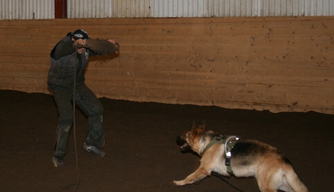 Training in Estonia 12/2006