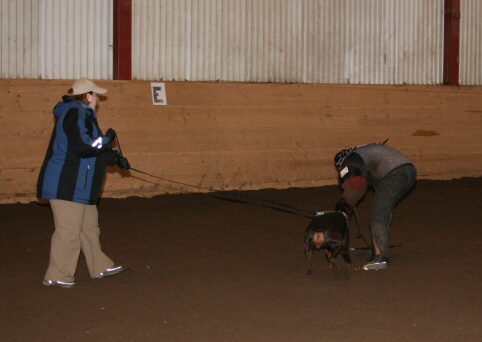 Training in Estonia 12/2006