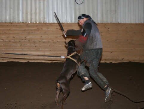 Training in Estonia 12/2006