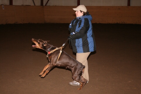 Training in Estonia 12/2006