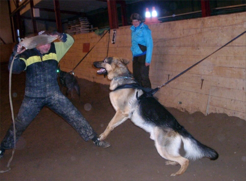 Training in Estonia 12/2007