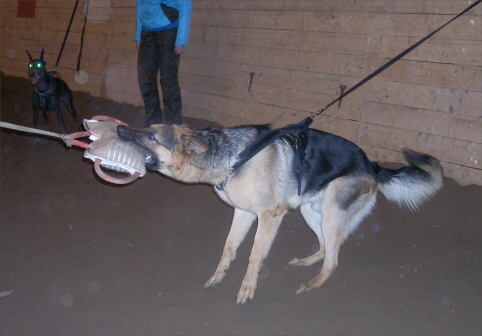 Training in Estonia 12/2007