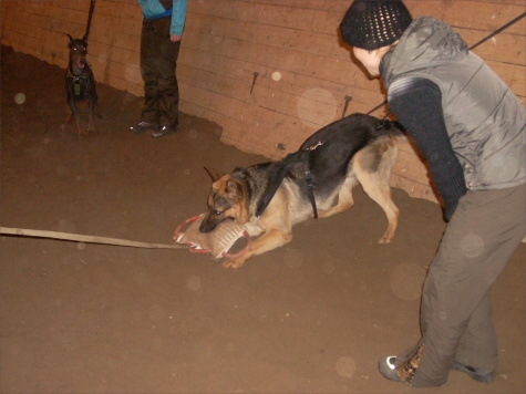 Training in Estonia 12/2007