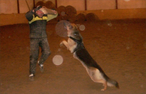 Training in Estonia 12/2007