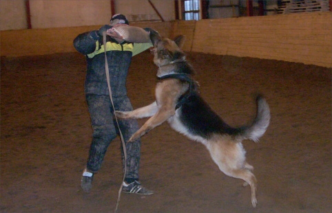 Training in Estonia 12/2007