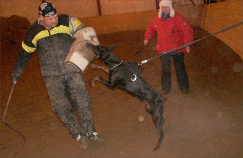 Training in Estonia 12/2007