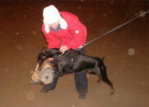 Training in Estonia 12/2007