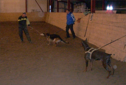 Training in Estonia 12/2007