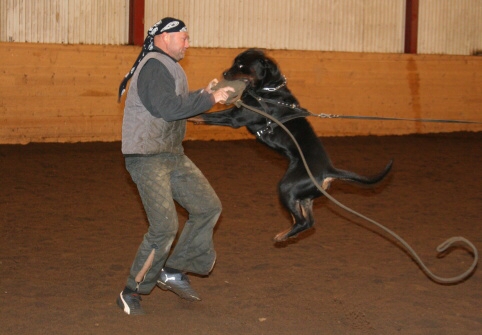 Training in Estonia 12/2006