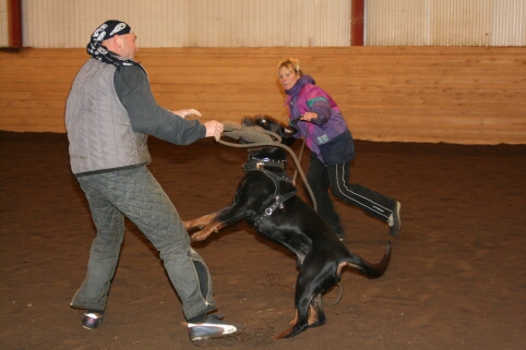 Training in Estonia 12/2006