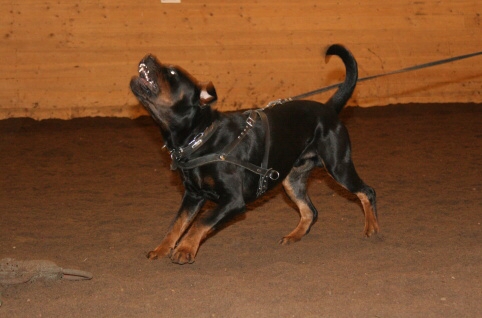 Training in Estonia 12/2006