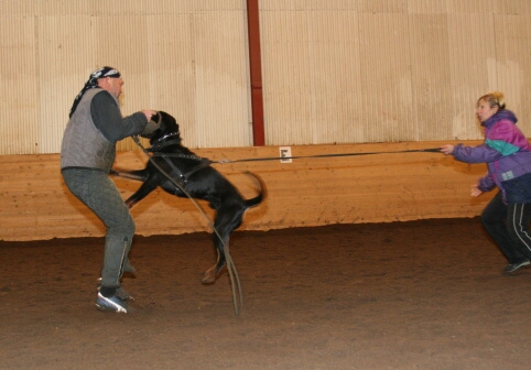 Training in Estonia 12/2006