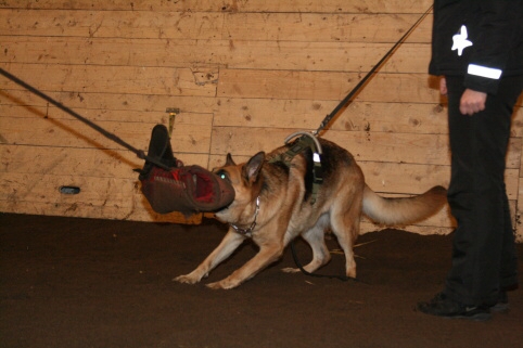 Training in Estonia 12/2006