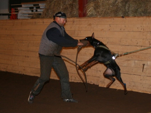 Training in Estonia 12/2006