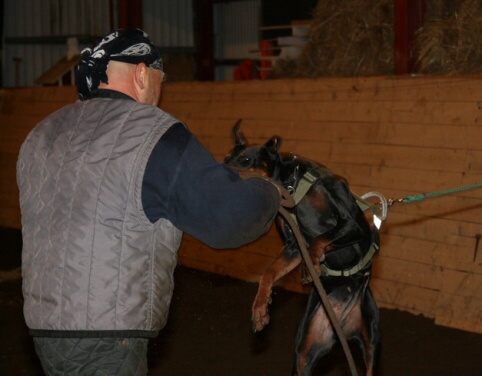 Training in Estonia 12/2006