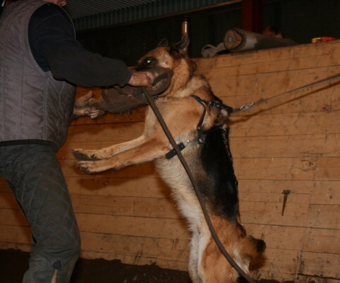 Training in Estonia 12/2006