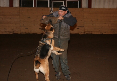 Training in Estonia 12/2006