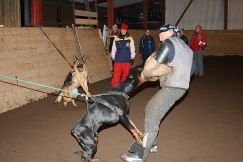 Training in Estonia 12/2006