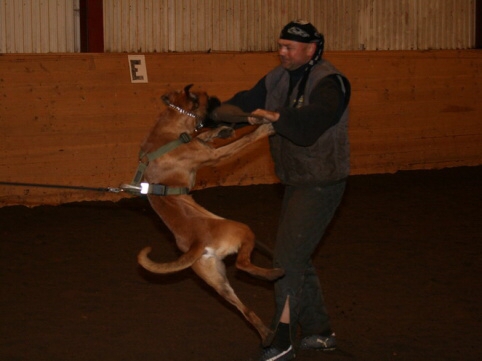 Training in Estonia 12/2006