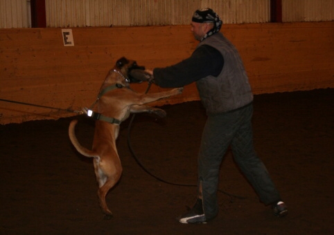 Training in Estonia 12/2006